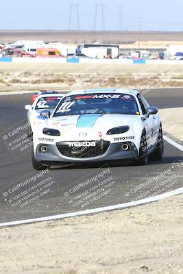 media/Jan-25-2025-CalClub SCCA (Sat) [[03c98a249e]]/Race 4/